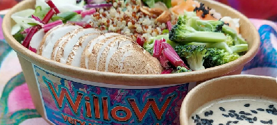 Willow Very Vegan